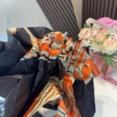wholesale quality hermes umbrella model no. 1
